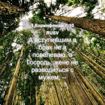 Picture 04 - 1 Коринфянам 7:10 RUSV - А вступившим в брак не я - Bible Verse Picture
