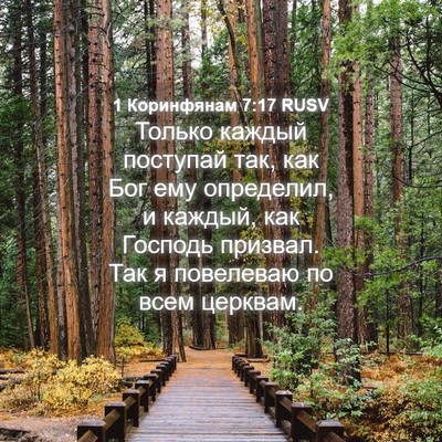 Picture 04 - 1 Коринфянам 7:17 RUSV - Только каждый поступай - Bible Verse Picture
