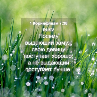 Picture 04 - 1 Коринфянам 7:38 RUSV - Посему выдающий замуж свою - Bible Verse Picture