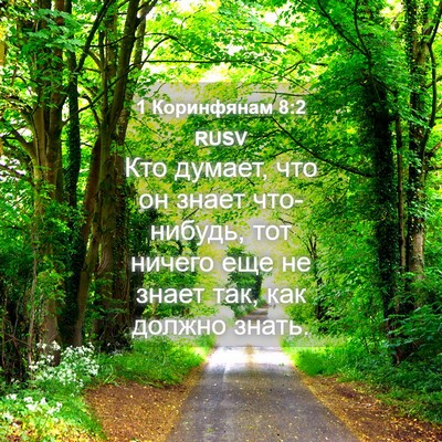 Picture 04 - 1 Коринфянам 8:2 RUSV - Кто думает, что он знает - Bible Verse Picture