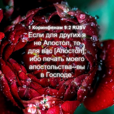 Picture 04 - 1 Коринфянам 9:2 RUSV - Если для других я не - Bible Verse Picture