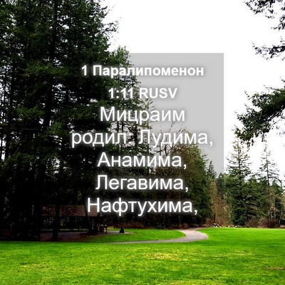 Picture 04 - 1 Паралипоменон 1:11 RUSV - Мицраим родил: Лудима, - Bible Verse Picture