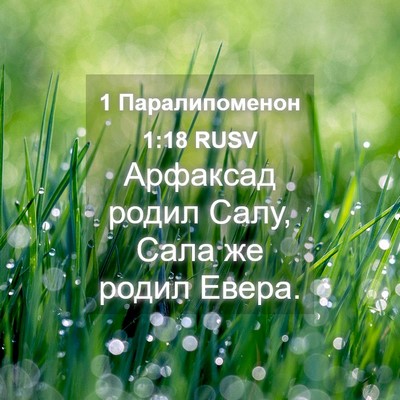 Picture 04 - 1 Паралипоменон 1:18 RUSV - Арфаксад родил Салу, Сала - Bible Verse Picture