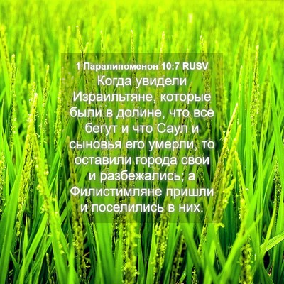 Picture 04 - 1 Паралипоменон 10:7 RUSV - Когда увидели Израильтяне, - Bible Verse Picture
