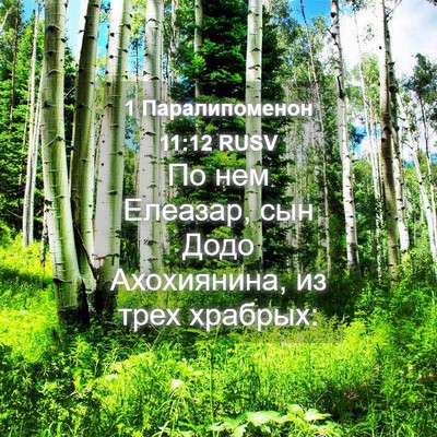 Picture 04 - 1 Паралипоменон 11:12 RUSV - По нем Елеазар, сын Додо - Bible Verse Picture