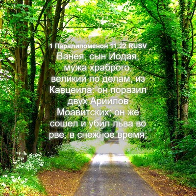 Picture 04 - 1 Паралипоменон 11:22 RUSV - Ванея, сын Иодая, мужа - Bible Verse Picture