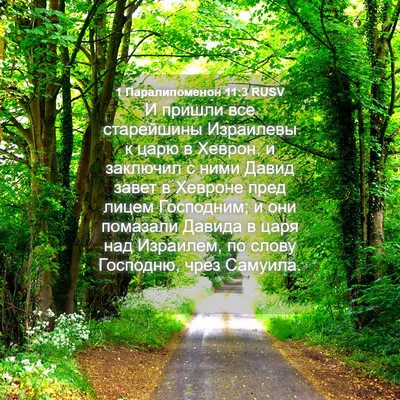 Picture 04 - 1 Паралипоменон 11:3 RUSV - И пришли все старейшины - Bible Verse Picture