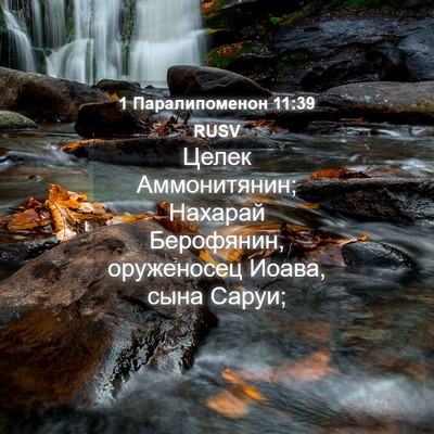 Picture 04 - 1 Паралипоменон 11:39 RUSV - Целек Аммонитянин; Нахарай - Bible Verse Picture
