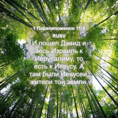 Picture 04 - 1 Паралипоменон 11:4 RUSV - И пошел Давид и весь - Bible Verse Picture