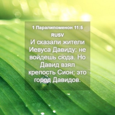 Picture 04 - 1 Паралипоменон 11:5 RUSV - И сказали жители Иевуса - Bible Verse Picture