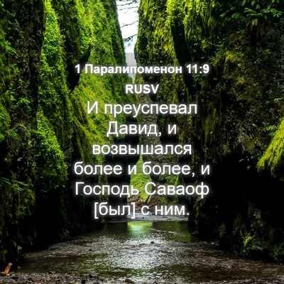 Picture 04 - 1 Паралипоменон 11:9 RUSV - И преуспевал Давид, и - Bible Verse Picture