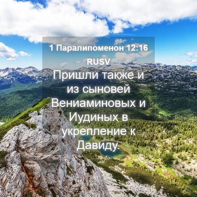 Picture 04 - 1 Паралипоменон 12:16 RUSV - Пришли также и из сыновей - Bible Verse Picture