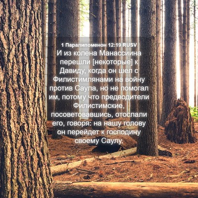Picture 04 - 1 Паралипоменон 12:19 RUSV - И из колена Манассиина - Bible Verse Picture