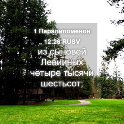 Picture 04 - 1 Паралипоменон 12:26 RUSV - из сыновей Левииных четыре - Bible Verse Picture