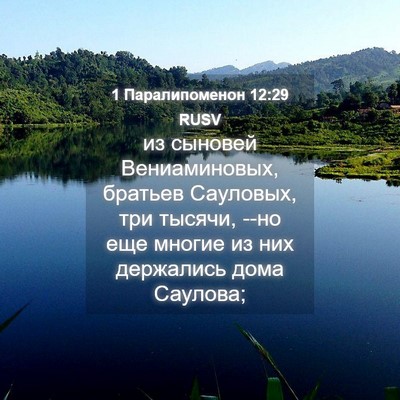 Picture 04 - 1 Паралипоменон 12:29 RUSV - из сыновей Вениаминовых, - Bible Verse Picture