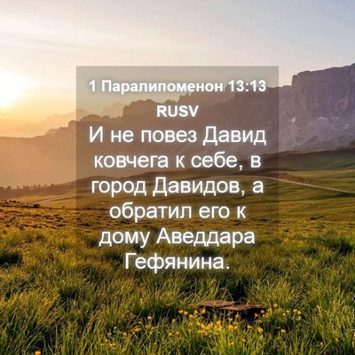 Picture 04 - 1 Паралипоменон 13:13 RUSV - И не повез Давид ковчега к - Bible Verse Picture