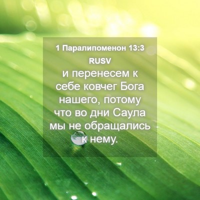 Picture 04 - 1 Паралипоменон 13:3 RUSV - и перенесем к себе ковчег - Bible Verse Picture