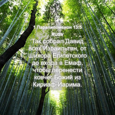 Picture 04 - 1 Паралипоменон 13:5 RUSV - Так собрал Давид всех - Bible Verse Picture