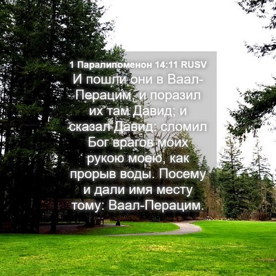 Picture 04 - 1 Паралипоменон 14:11 RUSV - И пошли они в Ваал-Перацим, - Bible Verse Picture