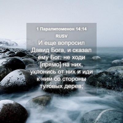 Picture 04 - 1 Паралипоменон 14:14 RUSV - И еще вопросил Давид Бога, - Bible Verse Picture