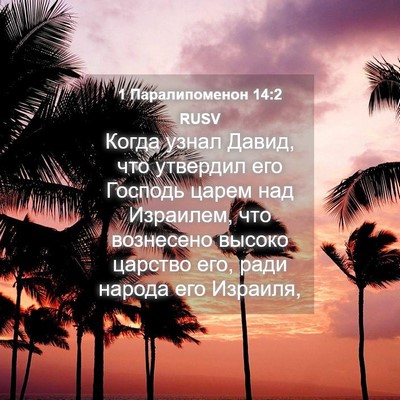 Picture 04 - 1 Паралипоменон 14:2 RUSV - Когда узнал Давид, что - Bible Verse Picture