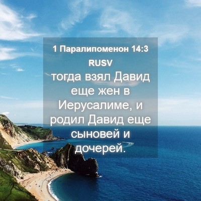 Picture 04 - 1 Паралипоменон 14:3 RUSV - тогда взял Давид еще жен в - Bible Verse Picture