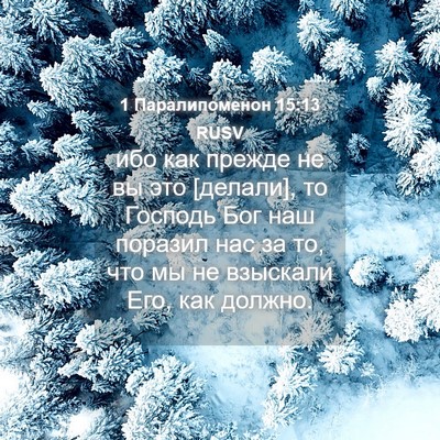 Picture 04 - 1 Паралипоменон 15:13 RUSV - ибо как прежде не вы это - Bible Verse Picture