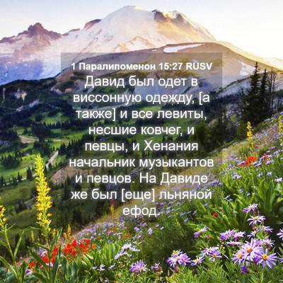 Picture 04 - 1 Паралипоменон 15:27 RUSV - Давид был одет в виссонную - Bible Verse Picture