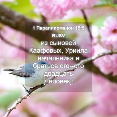 Picture 04 - 1 Паралипоменон 15:5 RUSV - из сыновей Каафовых, - Bible Verse Picture