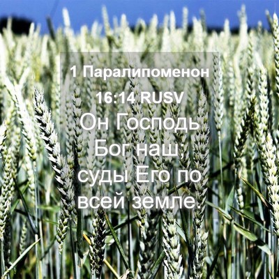 Picture 04 - 1 Паралипоменон 16:14 RUSV - Он Господь Бог наш; суды - Bible Verse Picture