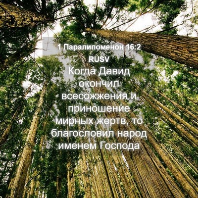 Picture 04 - 1 Паралипоменон 16:2 RUSV - Когда Давид окончил - Bible Verse Picture