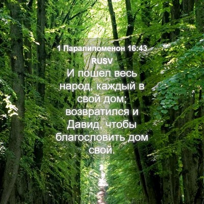 Picture 04 - 1 Паралипоменон 16:43 RUSV - И пошел весь народ, каждый - Bible Verse Picture