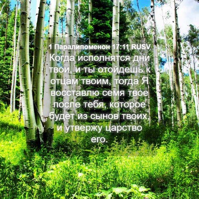 Picture 04 - 1 Паралипоменон 17:11 RUSV - Когда исполнятся дни твои, - Bible Verse Picture