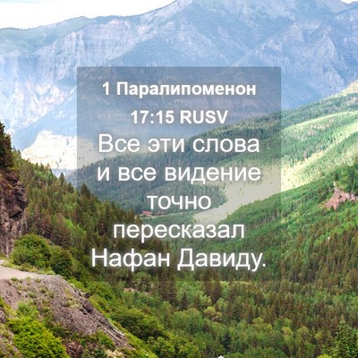 Picture 04 - 1 Паралипоменон 17:15 RUSV - Все эти слова и все видение - Bible Verse Picture