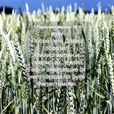 Picture 04 - 1 Паралипоменон 18:1 RUSV - После сего Давид поразил - Bible Verse Picture
