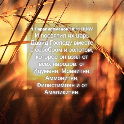 Picture 04 - 1 Паралипоменон 18:11 RUSV - И посвятил их царь Давид - Bible Verse Picture