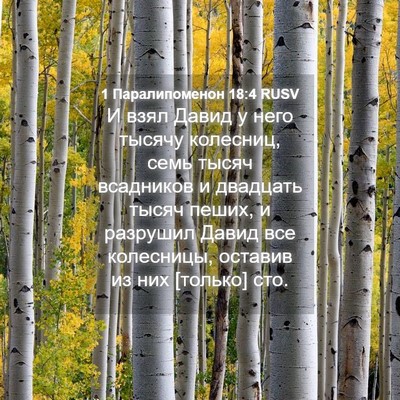 Picture 04 - 1 Паралипоменон 18:4 RUSV - И взял Давид у него тысячу - Bible Verse Picture