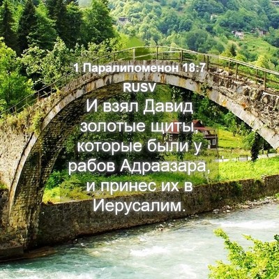 Picture 04 - 1 Паралипоменон 18:7 RUSV - И взял Давид золотые щиты, - Bible Verse Picture