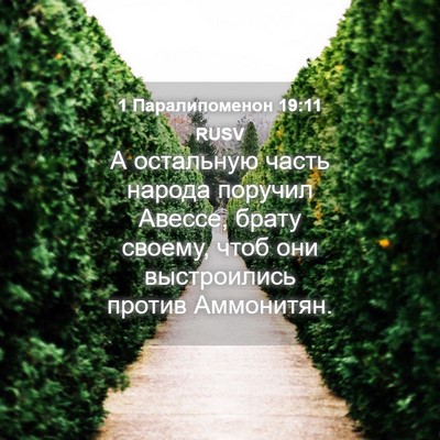 Picture 04 - 1 Паралипоменон 19:11 RUSV - А остальную часть народа - Bible Verse Picture