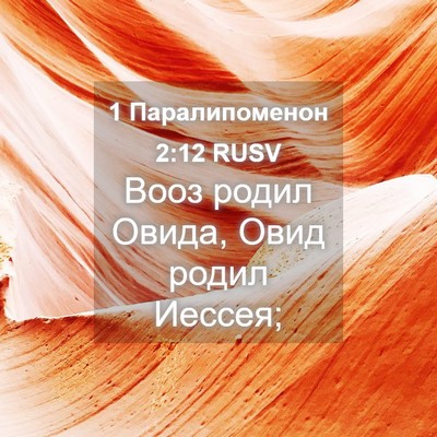 Picture 04 - 1 Паралипоменон 2:12 RUSV - Вооз родил Овида, Овид - Bible Verse Picture