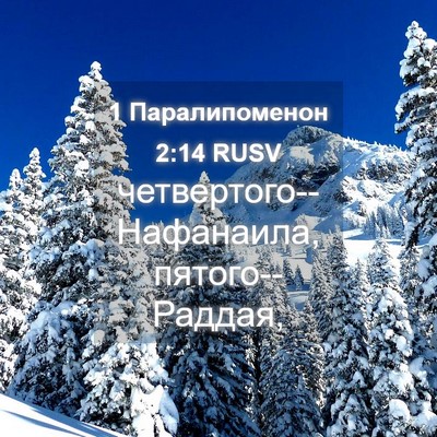 Picture 04 - 1 Паралипоменон 2:14 RUSV - четвертого--Нафанаила, - Bible Verse Picture