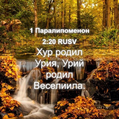 Picture 04 - 1 Паралипоменон 2:20 RUSV - Хур родил Урия, Урий родил - Bible Verse Picture