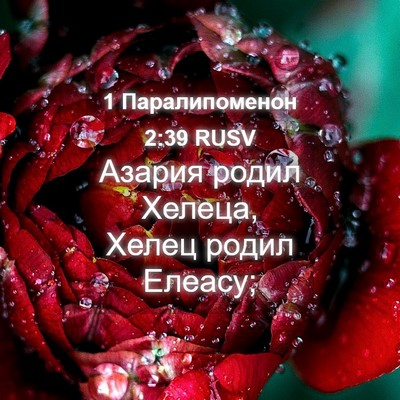 Picture 04 - 1 Паралипоменон 2:39 RUSV - Азария родил Хелеца, Хелец - Bible Verse Picture