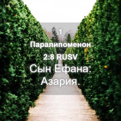 Picture 04 - 1 Паралипоменон 2:8 RUSV - Сын Ефана: - Bible Verse Picture