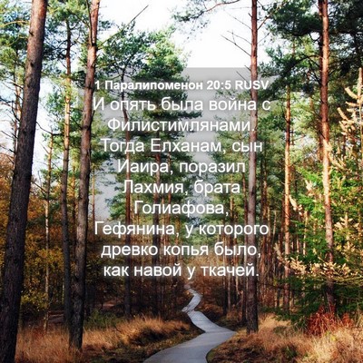 Picture 04 - 1 Паралипоменон 20:5 RUSV - И опять была война с - Bible Verse Picture
