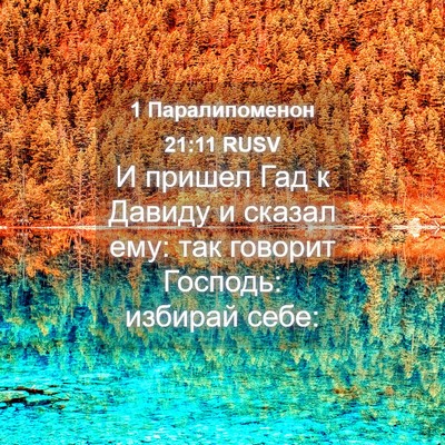 Picture 04 - 1 Паралипоменон 21:11 RUSV - И пришел Гад к Давиду и - Bible Verse Picture