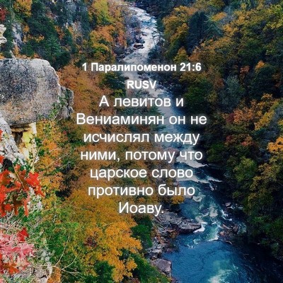Picture 04 - 1 Паралипоменон 21:6 RUSV - А левитов и Вениаминян он - Bible Verse Picture