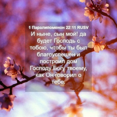 Picture 04 - 1 Паралипоменон 22:11 RUSV - И ныне, сын мой! да будет - Bible Verse Picture