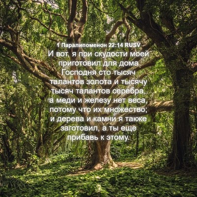 Picture 04 - 1 Паралипоменон 22:14 RUSV - И вот, я при скудости моей - Bible Verse Picture