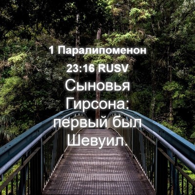Picture 04 - 1 Паралипоменон 23:16 RUSV - Сыновья Гирсона: первый - Bible Verse Picture